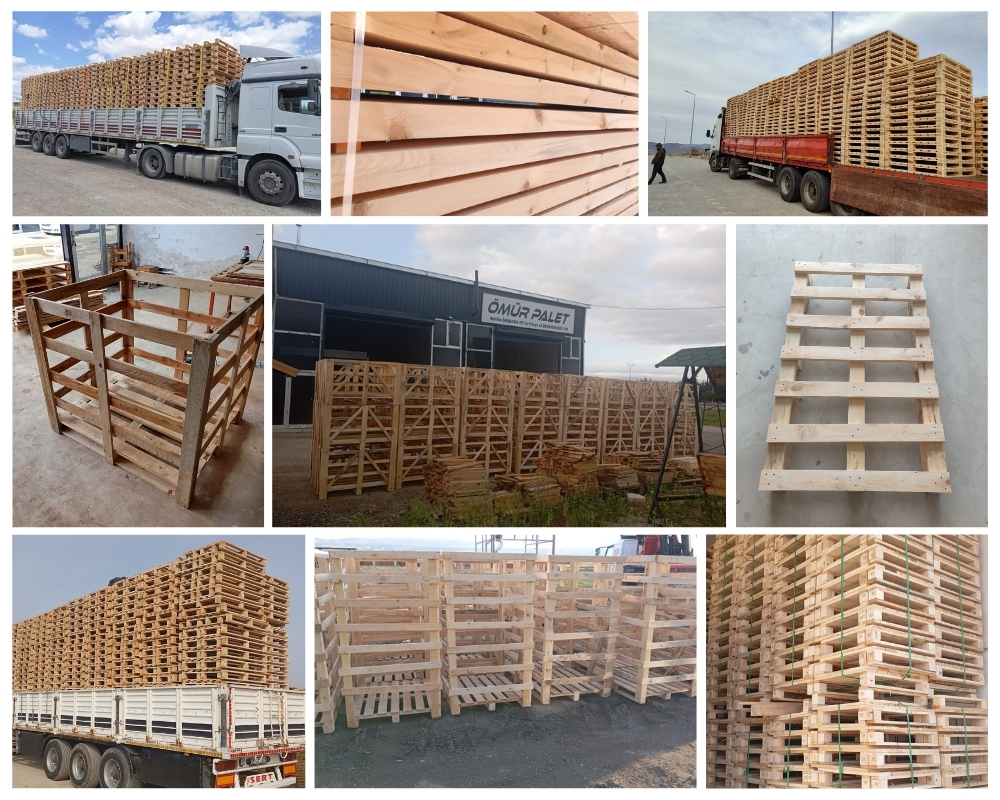 Antwerp Houten Kisten, Europallets Groothandel Kopen